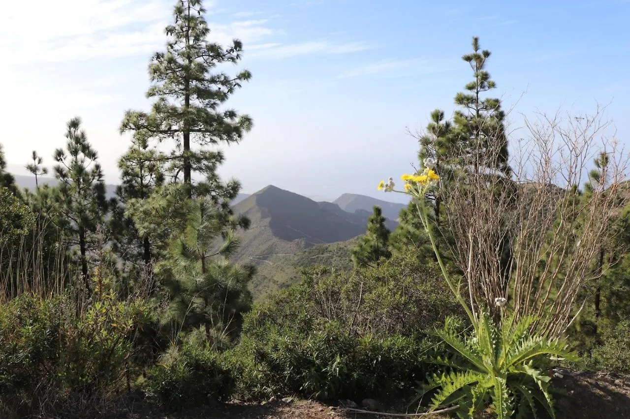 Apartment Traditional Canarian Home With Fantastic View Santiago Del Teide